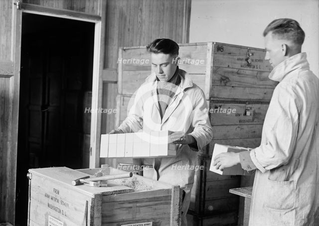 Army, U.S. Army Medical School; Typhoid Vaccine, 1917. Creator: Harris & Ewing.