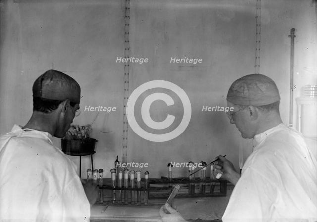Army, U.S. Army Medical School; Typhoid Vaccine, 1917. Creator: Harris & Ewing.