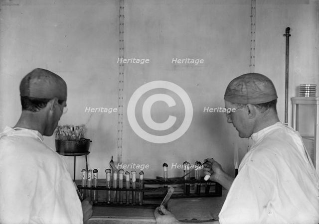 Army, U.S. Army Medical School; Typhoid Vaccine, 1917. Creator: Harris & Ewing.