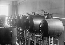 Army, U.S. Army Medical School; Typhoid Vaccine, 1917. Creator: Harris & Ewing