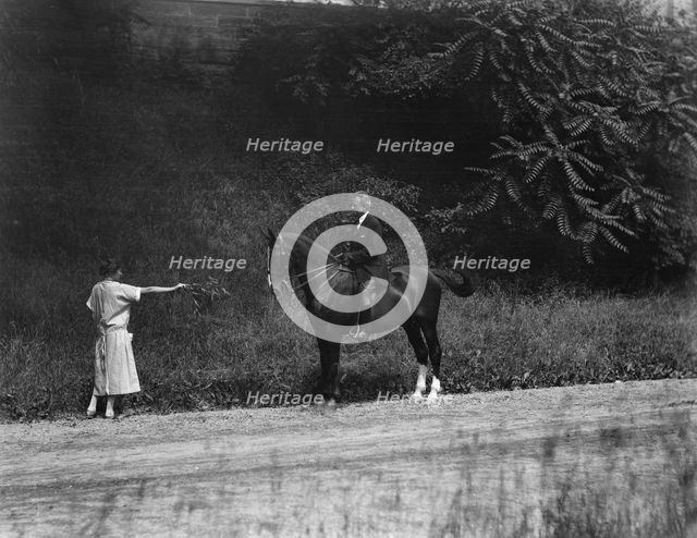 Arnold Genthe riding Chesty, between 1911 and 1936. Creator: Arnold Genthe.