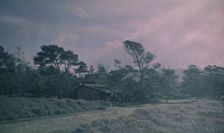 Arnold Genthe's bungalow in Carmel, California, between 1906 and 1911. Creator: Arnold Genthe