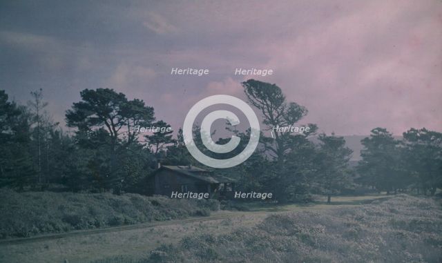 Arnold Genthe's bungalow in Carmel, California, between 1906 and 1911. Creator: Arnold Genthe.
