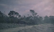 Arnold Genthe's bungalow in Carmel, California, between 1906 and 1911. Creator: Arnold Genthe