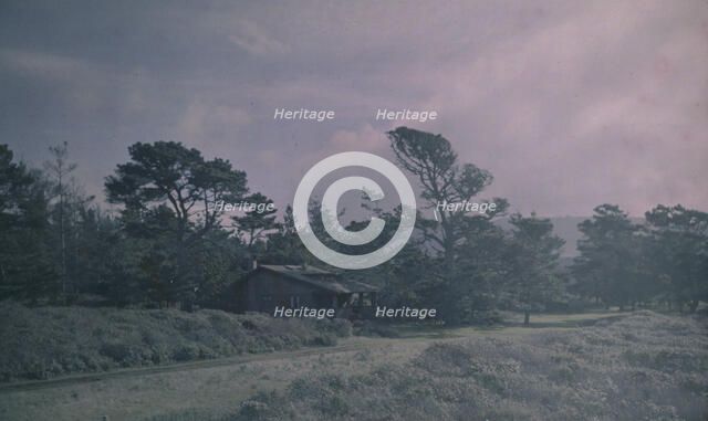 Arnold Genthe's bungalow in Carmel, California, between 1906 and 1911. Creator: Arnold Genthe.