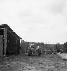 Arnold yard, Michigan Hill, Thurston County, Western Washington, 1939. Creator: Dorothea Lange