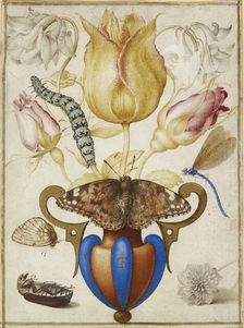 Arrangement of Flowers in a Vase, with Insects, 1594. Artist: Joris Hoefnagel
