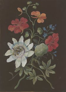 Arrangement of passionflower (Passiflora), red nasturtium (Tropaeplum), and forget-me-not... Creator: Barbara Regina Dietzsch circle