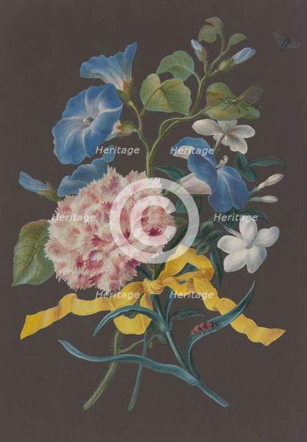 Arrangement of pink carnations (Dianthus), blue bindweed (Convolvulus), and white jasmine ... Creator: Barbara Regina Dietzsch circle.