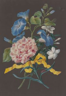 Arrangement of pink carnations (Dianthus), blue bindweed (Convolvulus), and white jasmine ... Creator: Barbara Regina Dietzsch circle