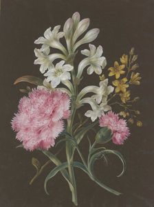 Arrangement of tuberose (Polyanthes), pink carnation (Dianthus), and a yellow flower with a fly.. Creator: Barbara Regina Dietzsch circle