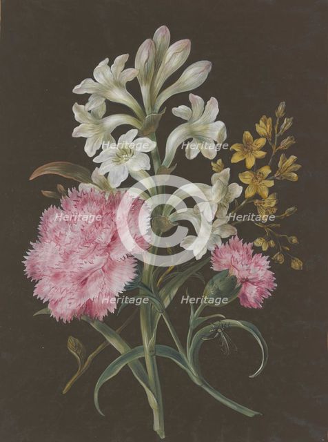 Arrangement of tuberose (Polyanthes), pink carnation (Dianthus), and a yellow flower with a fly.. Creator: Barbara Regina Dietzsch circle.
