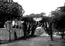Arrival, and Subsequent Death, of Lady Carter at Lagos: triumphal arch opposite Christ Church, 1895. Creator: George Meisenbach
