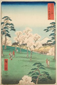 Asuka Hill in the Eastern Capital (Toto Asukayama), from the series "Thirty-six Views of..., 1858. Creator: Ando Hiroshige