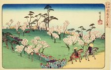 Asukayama Hanami (Cherry Blossom Viewing at Asukayama), 1950. Creator: Ando Hiroshige