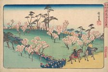 Asukayama Hanami. Creator: Ando Hiroshige