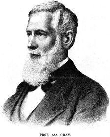 Asa Gray, American botanist, 1888