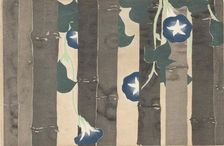 Asagao (Morning Glories). From the series "A World of Things (Momoyogusa)", 1909-1910. Creator: Sekka, Kamisaka (1866-1942)