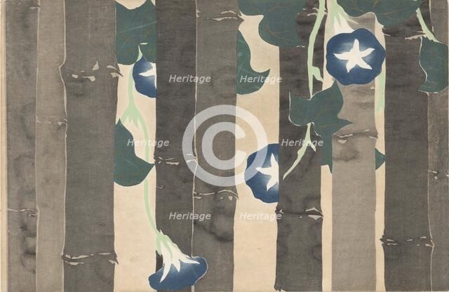 Asagao (Morning Glories). From the series "A World of Things (Momoyogusa)", 1909-1910. Creator: Sekka, Kamisaka (1866-1942).