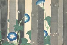 Asagao, from Momoyo-gusa (The World of Things) Vol I, pub.1909 (colour block woodcut)