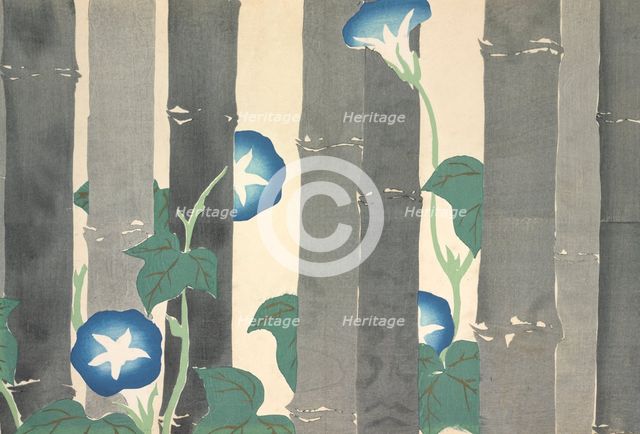 Asagao, from Momoyo-gusa (The World of Things) Vol I, pub.1909 (colour block woodcut)