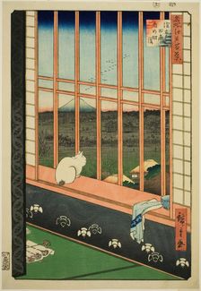 Asakusa Rice Fields and Torinomachi Festival (Asakusa tanbo Torinomachi mode..., 1857. Creator: Ando Hiroshige