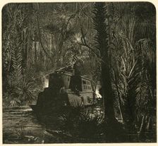 Ascending the Ocklawaha River at Night 1872. Creator: Frederick William Quartley