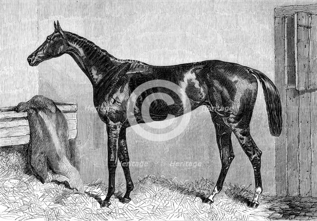 Ascot Races: Scottish Chief, winner of the Ascot Cup, 1864. Creator: Unknown.