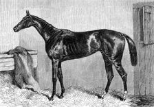 Ascot Races: Scottish Chief, winner of the Ascot Cup, 1864. Creator: Unknown