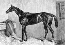Ascot Races: Scottish Chief, winner of the Ascot Cup, 1864. Creator: Unknown