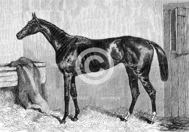 Ascot Races: Scottish Chief, winner of the Ascot Cup, 1864. Creator: Unknown.