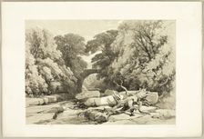 Ash and Alder on the Greta, from The Park and the Forest, 1841. Creator: James Duffield Harding