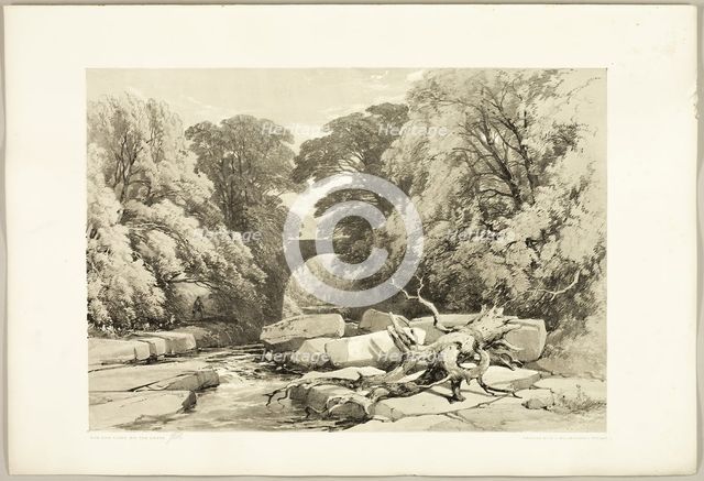 Ash and Alder on the Greta, from The Park and the Forest, 1841. Creator: James Duffield Harding.