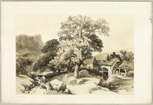 Ash and Oak, from The Park and the Forest, 1841. Creator: James Duffield Harding