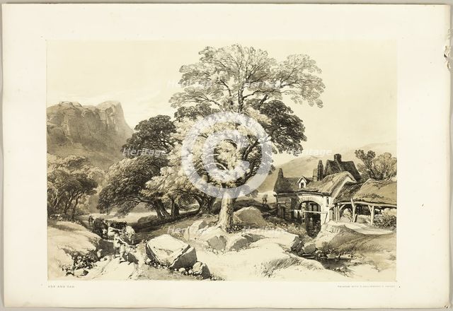 Ash and Oak, from The Park and the Forest, 1841. Creator: James Duffield Harding.