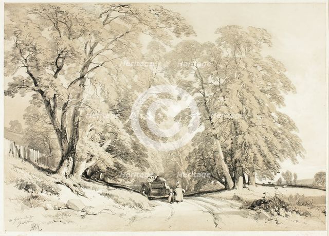 Ash, from The Park and the Forest, 1841. Creator: James Duffield Harding.