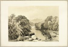 Ash, Sycamore and Oak, from The Park and the Forest, 1841. Creator: James Duffield Harding