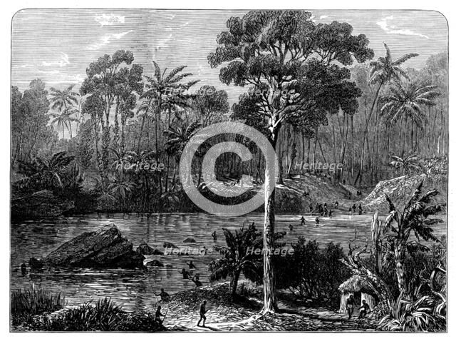 Ashantee Sketches: the River Prah and the Forest of Assin, 1873. Creator: Unknown.