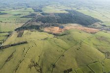Ashen Hill barrow cemetery and Priddy Nine Barrows Cemetery, Somerset, 2016. Creator: Damian Grady