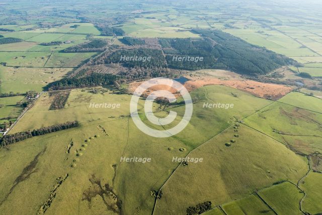 Ashen Hill barrow cemetery and Priddy Nine Barrows Cemetery, Somerset, 2016. Creator: Damian Grady.