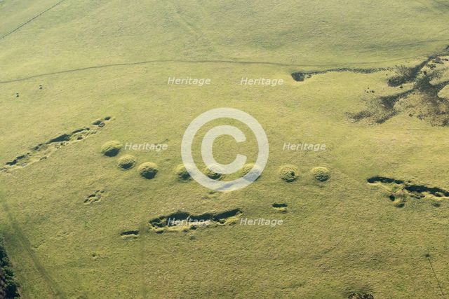 Ashen Hill barrow cemetery, Somerset, 2016. Creator: Damian Grady.
