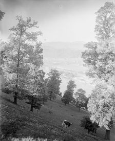 Asheville, N.C., between 1895 and 1910. Creator: Unknown