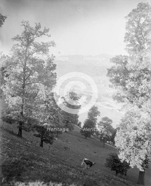Asheville, N.C., between 1895 and 1910. Creator: Unknown.