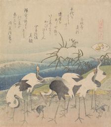 Ashi Clam, from the series "Genroku Kasen Kai-awase", 1821. Creator: Hokusai