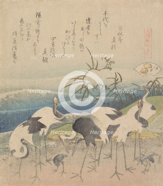 Ashi Clam, from the series "Genroku Kasen Kai-awase", 1821. Creator: Hokusai.