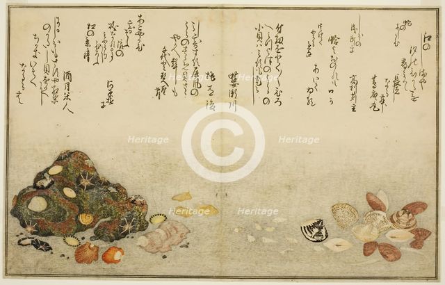 Ashi-gai, hamaguri, ko-gai, suzume-gai, akoya-gai, and katashi-gai, from the illustrated..., 1789. Creator: Kitagawa Utamaro.