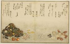 Ashi-gai, hamaguri, ko-gai, suzume-gai, akoya-gai, and katashi-gai, from the illustrated..., 1789. Creator: Kitagawa Utamaro