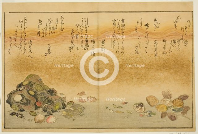 Ashi-gai, hamaguri, ko-gai, suzume-gai, akoya-gai, and katashi-gai, from the illustrated..., 1789. Creator: Kitagawa Utamaro.