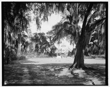 Ashley Hall, Magnolia-on-the-Ashley, Charleston, S.C., c1907. Creator: Unknown