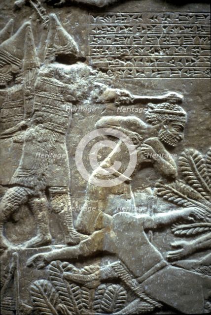 Ashurbanipal at the Battle of Til-Tuba, 650-620 BC. Artist: Assyrian Art  